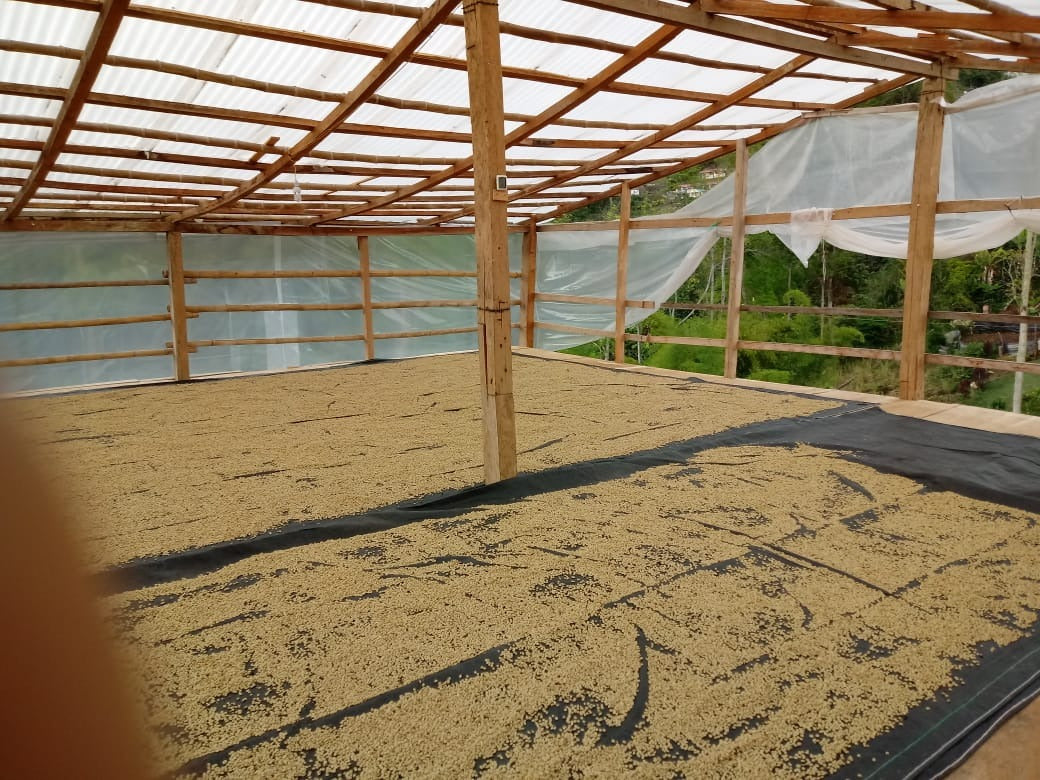 1904: Rwanda - Uncharted Coffee Supply