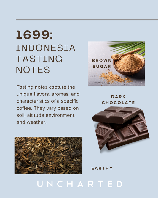 1699: Indonesia