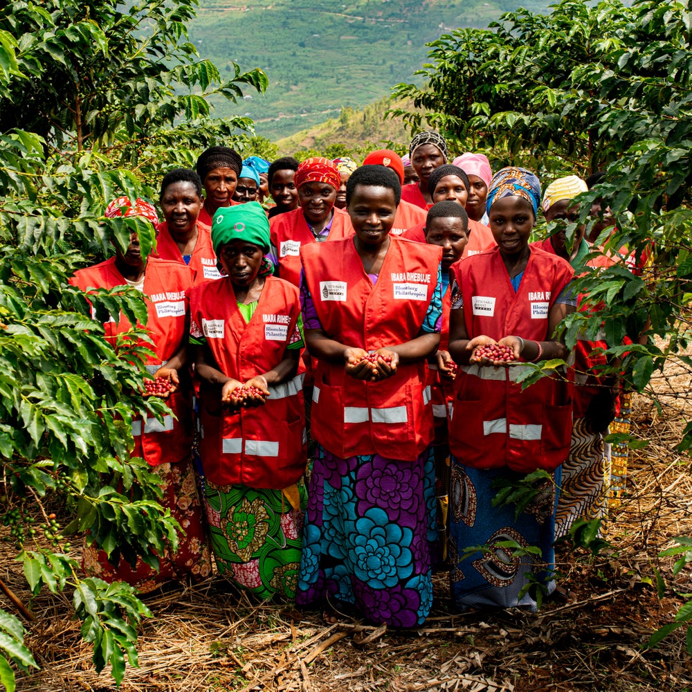 1904: Rwanda - Uncharted Coffee Supply