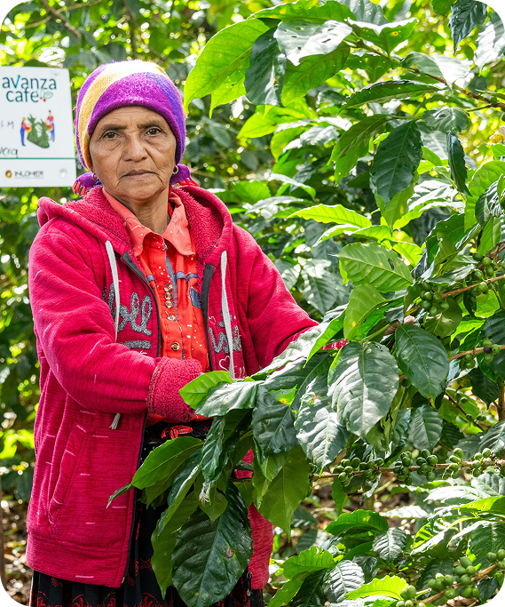 Fairer Farmer Wages