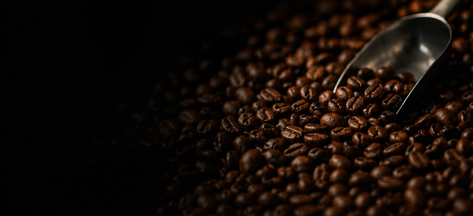 Join the Uncharted Coffee Supply