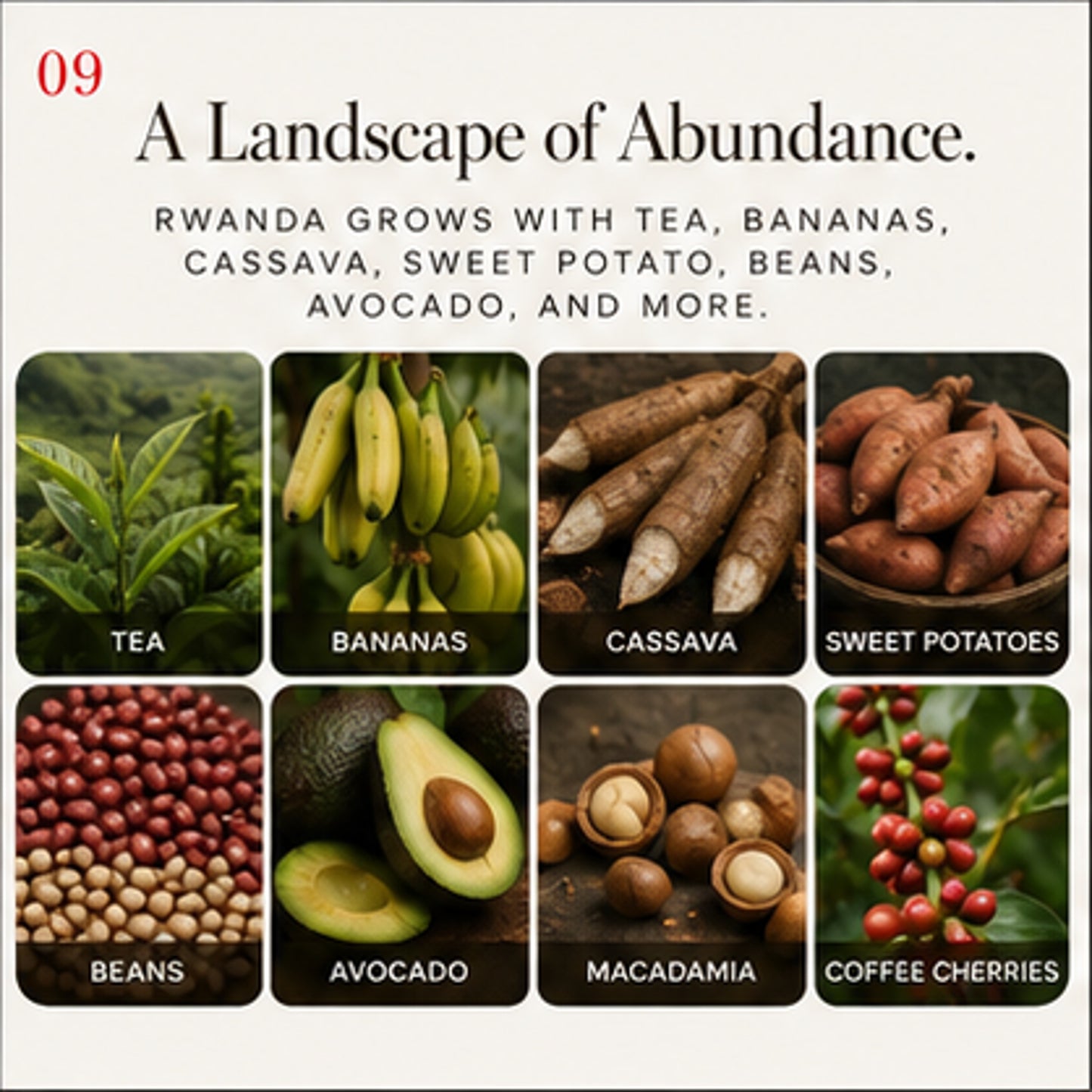1904: Rwanda